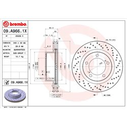 Tarcze Brembo XTRA